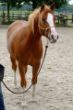 Roxy_09 13.jpg