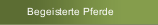 Begeisterte Pferde