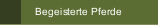 Begeisterte Pferde