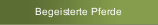 Begeisterte Pferde